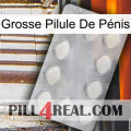 Grosse Pilule De Pénis 16